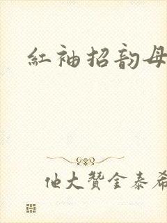 红袖招韵母攻略