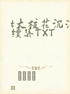 t大校花沉浮录续集TXT