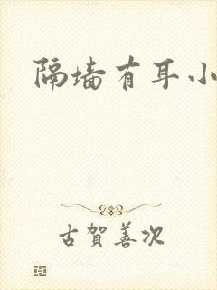 隔墙有耳小说封面