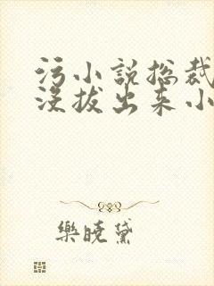 污小说总裁整夜没拔出来小说在线阅读封面