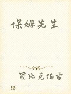 保姆先生封面