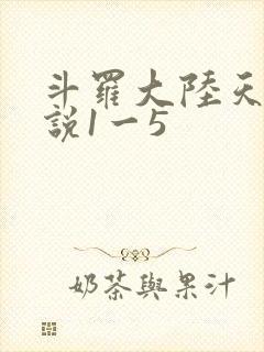 斗罗大陆天狂传说1一5