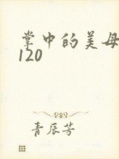 掌中的美母版主120封面