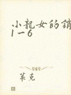 小龙女的销魂夜1一6封面