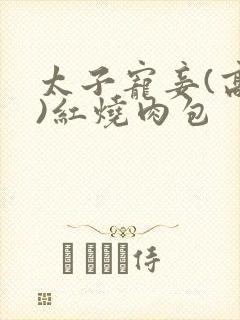 太子宠妾(高肉)红烧肉包封面