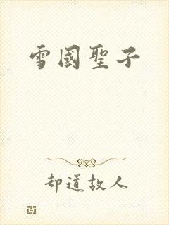 雪国圣子封面