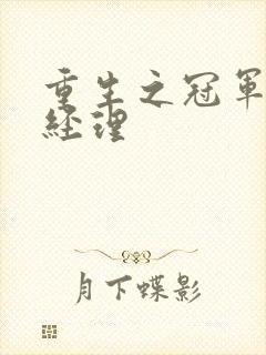 重生之冠军篮球经理封面