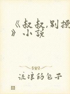 《叔叔,别撩我》小说