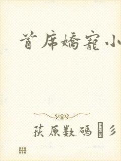 首席娇宠小情人