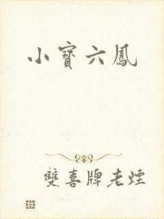小宝六凤