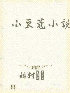 小豆蔻小说