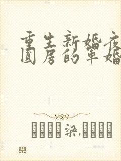 重生新婚夜正在圆房的军婚