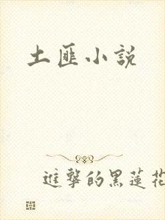 土匪小说