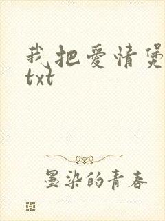 我把爱情煲成汤txt
