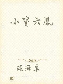 小宝六凤