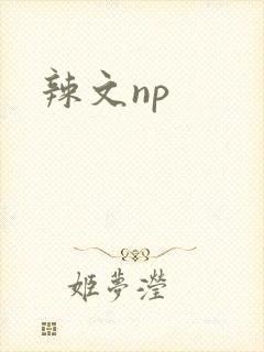 辣文np