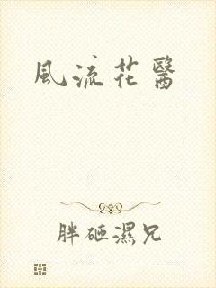 风流花医封面