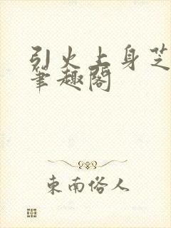 引火上身芝麻糖笔趣阁