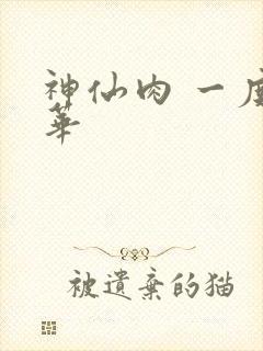 神仙肉 一度君华封面