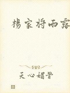 杨家将雨露均沾封面