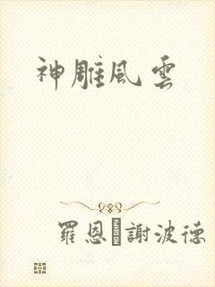 神雕风云