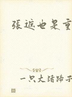 张遮也是重生吗