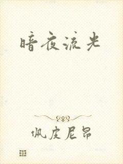 暗夜流光封面