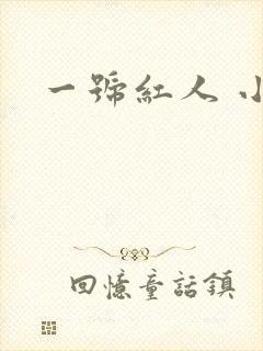 一号红人 小说
