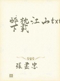 醉枕江山txt下载