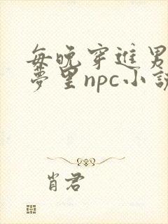 每晚穿进男神的梦里npc小说