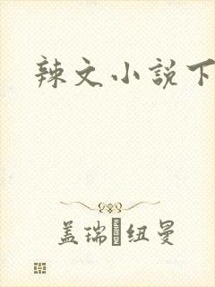 辣文小说下载封面