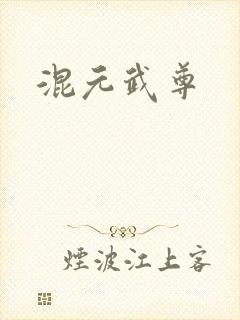 混元武尊封面