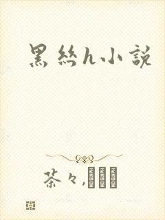 黑丝h小说封面