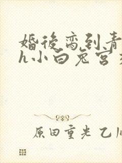 婚后脔到青梅哭h小白兔宫交h