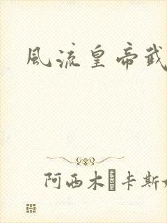 风流皇帝武则天封面