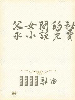 父女间的秘密赵永小说免费阅读封面