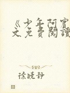 《少年阿宾》全文免费阅读封面