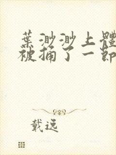 叶渺渺上体育课被捅了一节课封面