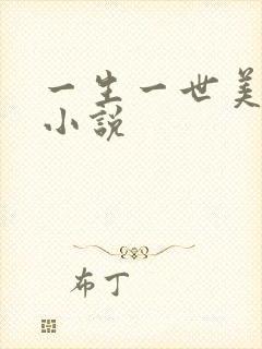 一生一世美人骨小说封面