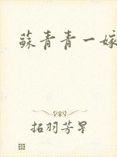 苏青青一嫁三夫