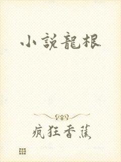 小说龙根封面