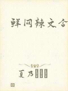 鲜网辣文合集封面