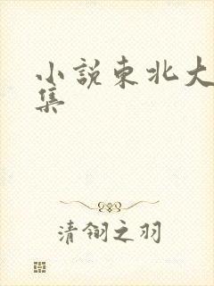 小说东北大炕全集