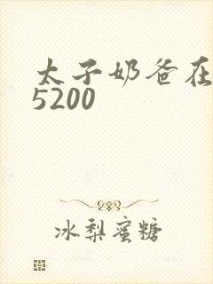 太子奶爸在花都5200封面