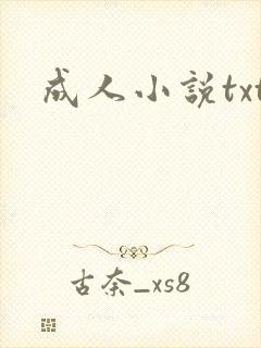 成人小说txt
