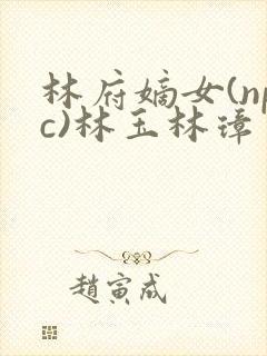 林府嫡女(npc)林玉林璋