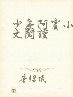 少年阿宾小说全文阅读