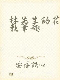 林先生的花式管教笔趣