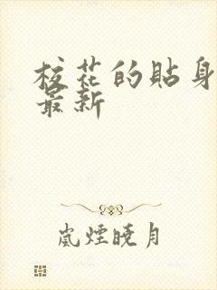 校花的贴身高手最新