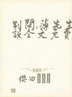 别闹,薄先生小说全文免费阅读